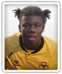 Abdoulaye Gouba