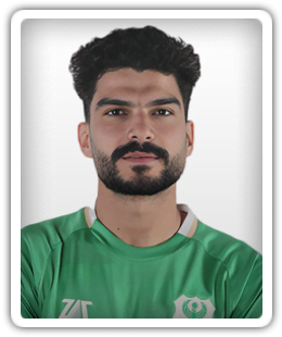 Hossam Greisha