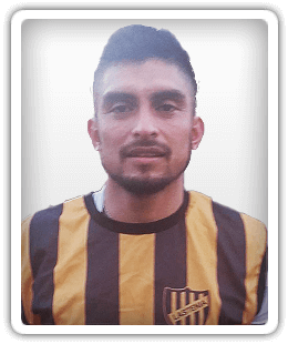 Waldo Brandán