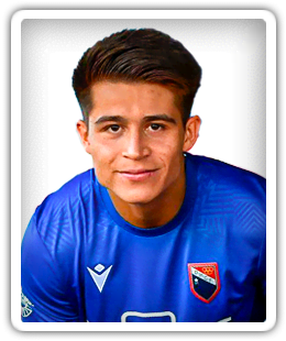 Alan Picazzo