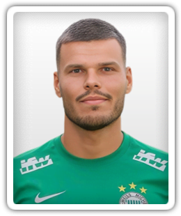 Robert Matesic