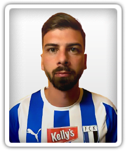 Ilario Amendola