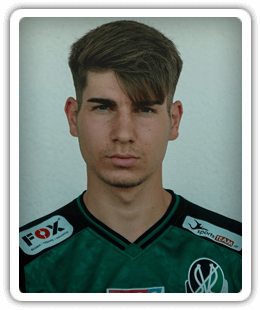 Adnan Foric