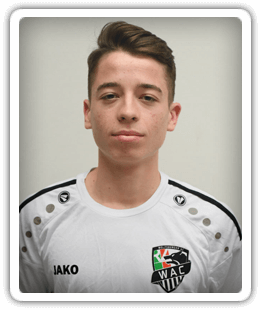 Julian Opetnik