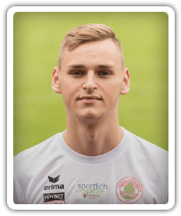 Edin Ibrisimovic