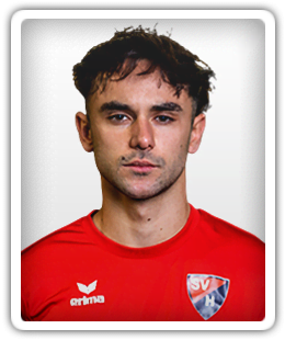 Luka Josovic