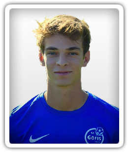 David Palombo