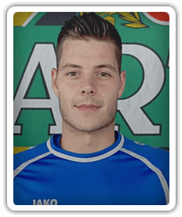 Dries Bollen