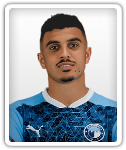 Karim Hafez