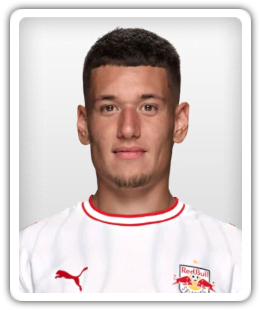 Damir Redzic