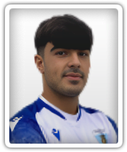 Andrea Pulina