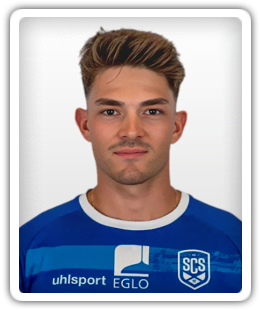 Alexander Schwab