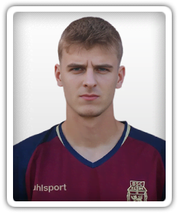Haris Mesic