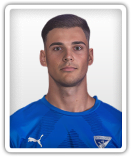 Nedim Suljic