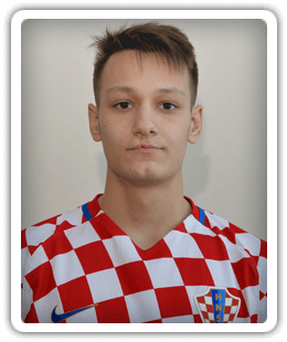 Vito Matijevic