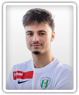 Levin Nay