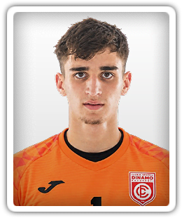 Denis Oncescu