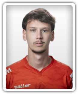 Alen Dizdarevic
