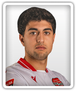 Arel Demir