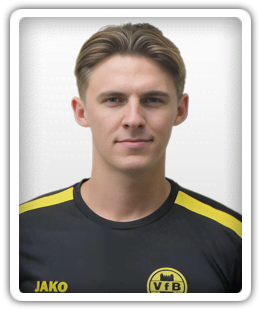 Henrik Scheibe