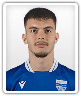 Mihajlo Petkovic