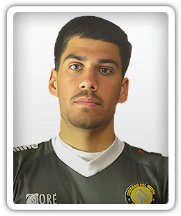 Tomás Palleres