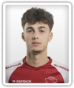 Nikola Mituljikic
