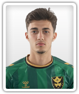 Jovan Mituljikic