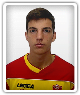 Nemanja Carevic