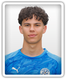 Matej Mijic