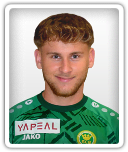 Edmir Zulic