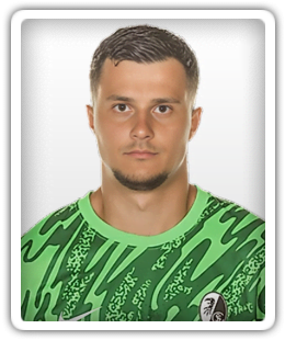 Luka Nujic