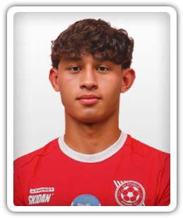 Rojas
