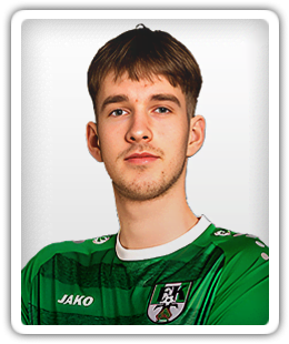 Karlis Mikulskis