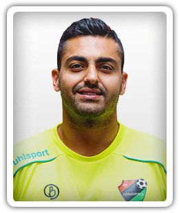 Hadi Mazidi