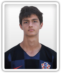 Luka Dudukovic