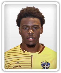 Tobi Ogundega