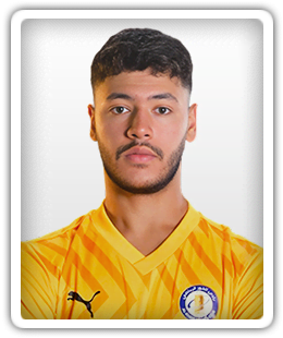 Ali Nader Mahmoud