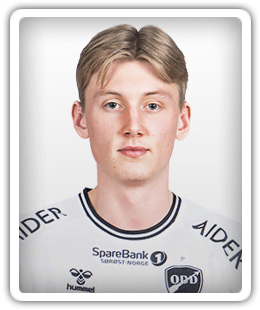 Anders Hartveit Ryste