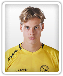 Joël van der Wilt