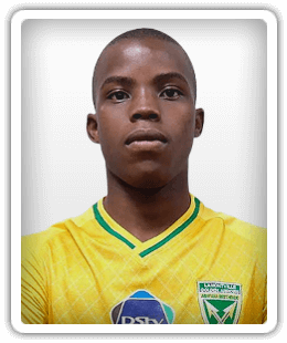 Sandile Ndlovu
