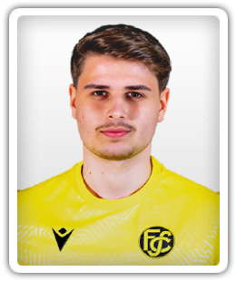 Alen Saipi