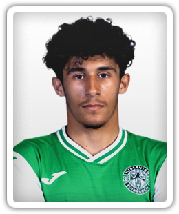 Malik Zaid