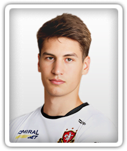 Luka Brlek