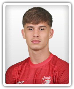Bogdan Mircetic