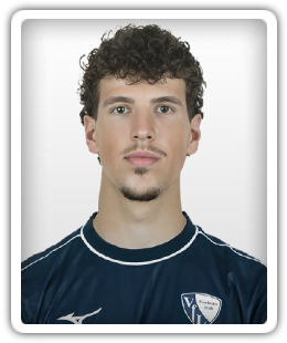 Niko Bozickovic
