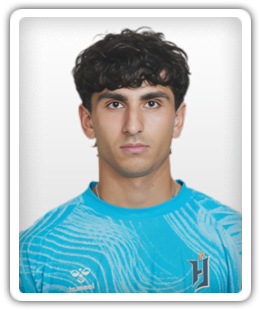 Dino Bontis