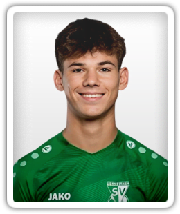 Darko Stajnko