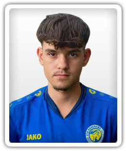 Nico Nizic