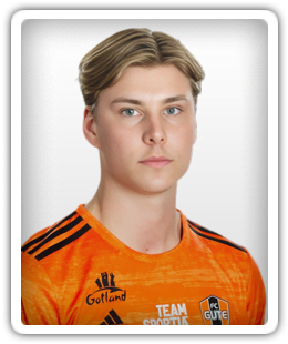 Ossian Ogestad